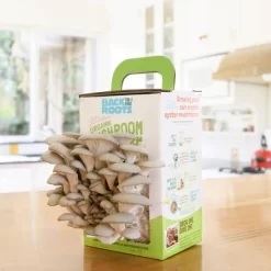 Back To The Roots Organic Mushroom Mini Grow Kit Pearl Oyster -Outdoor Garden GUEST 14af7100 855c 4d85 be8b ca6ce390920d