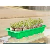 Window Garden Organic Wheatgrass Grow N Serve Kit