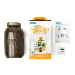 Back To The Roots Organic Sunflower Grow Kit 7 Back To The Roots Organic Sunflower Grow Kit -Outdoor Garden GUEST 2f04d7e8 ace1 450b 93e3 7a6643d2d00d