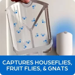 Zevo Indoor Flying Insect Trap Starter Kit For Fruit Flies, Gnats, And House Flies - 4ct -Outdoor Garden GUEST 30928a34 7f47 420f bc44 425672a43d7f