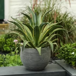 LuxenHome Gray Pottery-Style 11.75-inch Round MgO Planter -Outdoor Garden GUEST 49e33dbc ad7f 4aa3 b8ae c93c742b66a8