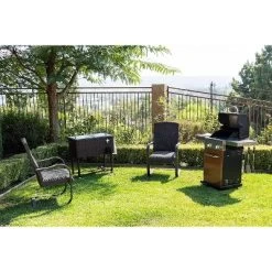 Permasteel 2-Burner Gas Grill With Foldable Side Tables -Outdoor Garden GUEST 4a6d6f2f b1d9 4019 b60b 97e7db19f6de