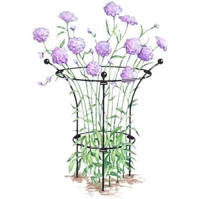 Gardener's Supply Company Essex Plant Support | Sturdy Metal Plants Support Frame For Peonies, Rose Ornamental Flower Garden Cage | Natural Bouquet 1 Gardener's Supply Company Essex Plant Support | Sturdy Metal Plants Support Frame For Peonies, Rose Ornamental Flower Garden Cage | Natural Bouquet