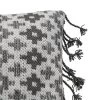 24x24 Inches Hand Woven Gray Polyester With Polyester Fill Pillow - Foreside Home & Garden