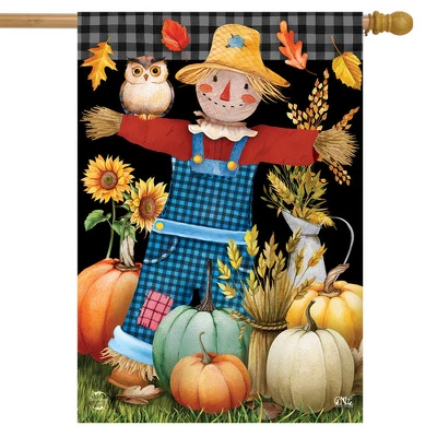 Friendly Scarecrow Autumn House Flag Pumpkins Owl Fall 28" X 40" Briarwood Lane 1 Friendly Scarecrow Autumn House Flag Pumpkins Owl Fall 28" X 40" Briarwood Lane