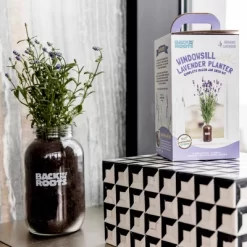Back To The Roots Organic Lavender Grow Kit -Outdoor Garden GUEST 5c28df74 fc68 4cf3 9e12 3963a13766f1