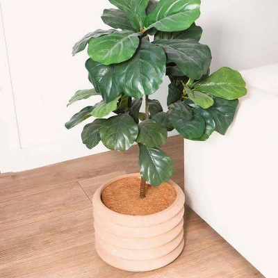 Envelor 10pk 14" Coco Coir Plant Cover Mulch Mat 3 Envelor 10pk 14" Coco Coir Plant Cover Mulch Mat - Image 3