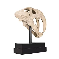 Design Toscano Saber-toothed Tiger Skull Artifact -Outdoor Garden GUEST 651c75ee c7be 4998 992a 52032c4c59cd