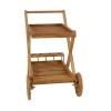 Trolley Patio Outdoor Serving Cart - Olivia & May