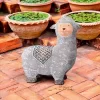 Design Toscano Andes The Little Alpaca Garden Statue