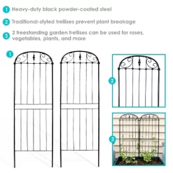 Sunnydaze Decor Sunnydaze Metal Wire Traditional Garden Trellis For Climbing Plants And Flowers - 32" H - Black - 2-Pack -Outdoor Garden GUEST 76ea74fa e05b 44fb a7c2 8bb86d7a7ba7