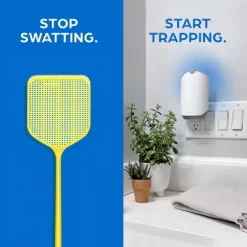 Zevo Indoor Flying Insect Trap Starter Kit For Fruit Flies, Gnats, And House Flies - 4ct -Outdoor Garden GUEST 7834abf2 96a7 47a1 a34b 37477aab55c6