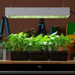 Hydrofarm FLT24 Agrobrite 4-Tube Daisy Chainable Hydroponic 2-Foot Grow Light Fixture 96W With 4-T5 Bulbs For Indoor Home Gardens -Outdoor Garden GUEST 8bdf897b bb6a 4ac7 91f4 5c6ed21d84eb