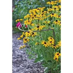 12 X 19 Jardin Half-Round Supports, Set Of 2