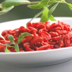 2.5qt Gogi Berry Plant With White Blooms - National Plant Network -Outdoor Garden GUEST 9ce0c4ad 9b44 470f 83f5 4426ab66f19c