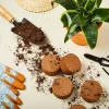 Farmlyn Creek 30 Pack Compressed Coco Coir Plant Pot Pellets Disc, Bulk Gardening Seed Starters For Soil Mix, 2.75 In