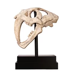 Design Toscano Saber-toothed Tiger Skull Artifact -Outdoor Garden GUEST afc12a0f a18f 4a1f 8094 a07a1aa00ca2