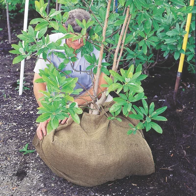 DeWitt NAT4300 4 X 300 Ft All Natural Organic Biodegradable Paper Mulch Garden Weed Control Barrier 4 DeWitt NAT4300 4 X 300 Ft All Natural Organic Biodegradable Paper Mulch Garden Weed Control Barrier - Image 4