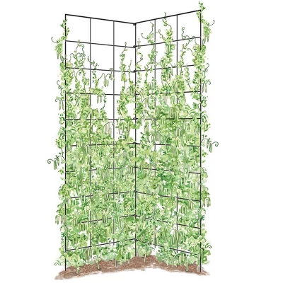Two Panel Folding Trellis 1 Two Panel Folding Trellis