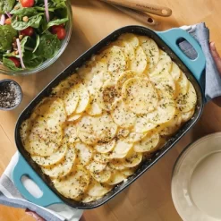 Rachael Ray Premium RUST-RESISTANT Cast Iron Roasting Pan 9"x13" Agave Blue