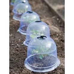 Medium Garden Cloches, Set Of 6