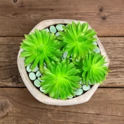 Nature Spring Glow In The Dark Solar-Powered Garden Stones - 200-pc -Outdoor Garden GUEST cd04b58b 8ba9 400a 9810 0b732c71d8c2