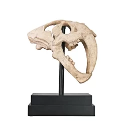 Design Toscano Saber-toothed Tiger Skull Artifact -Outdoor Garden GUEST ce58380d 6f39 432e 9072 3fbfe878868e