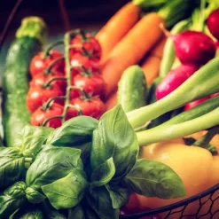 Back To The Roots 10pk Organic USA Beginner’s Garden Seeds -Outdoor Garden GUEST d3aebd0c a517 4caf 8f30 4a803efcd6b0