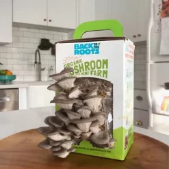 Back To The Roots Organic Mushroom Mini Grow Kit Pearl Oyster -Outdoor Garden GUEST d41a15b1 0f74 4e2a 8636 248827b81668