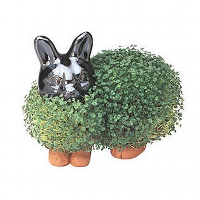 Joseph Enterprises, Inc Chia Pet Grass Planter: Bunny 1 Joseph Enterprises, Inc Chia Pet Grass Planter: Bunny