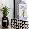 Back To The Roots Organic Lavender Grow Kit