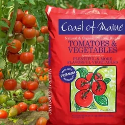 Coast Of Maine OMRI Listed Tomato And Vegetable Plant Potting Soil Compost Blend For Container Gardens And Flower Pots, 20 Quart Bag (2 Pack) -Outdoor Garden GUEST e1fa2d00 e836 4023 b8e3 2158fdca5e66