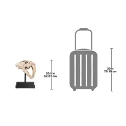 Design Toscano Saber-toothed Tiger Skull Artifact -Outdoor Garden GUEST e407f7c9 e21a 4fc1 82a2 ddd481256dc1