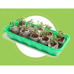 Window Garden Microgreen Organic Wheatgrass 3 Pack Refill