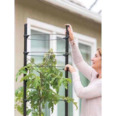 Gardeners Supply Company Victory Self Watering Planters Garden Kit | All-in-One Growth Planter Pots With Sturdy Metal Frame And Adjustable Ring Plant 3 Gardeners Supply Company Victory Self Watering Planters Garden Kit | All-in-One Growth Planter Pots With Sturdy Metal Frame And Adjustable Ring Plant - Image 3