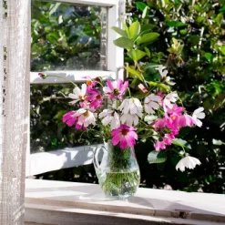 Back To The Roots 5pk Organic USA Flower Seeds -Outdoor Garden GUEST f4347ac0 4180 4cf1 b5e5 4b29a72da013